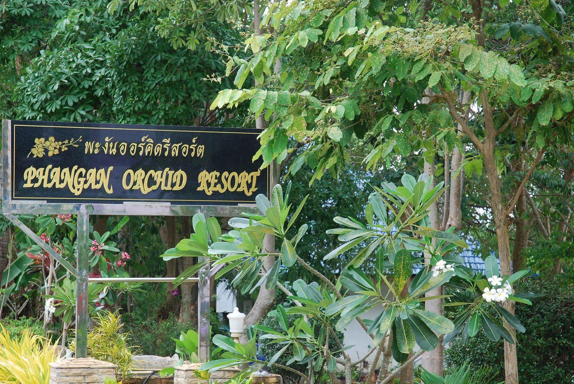 Phangan Orchid Resort Baan Tai Exterior photo
